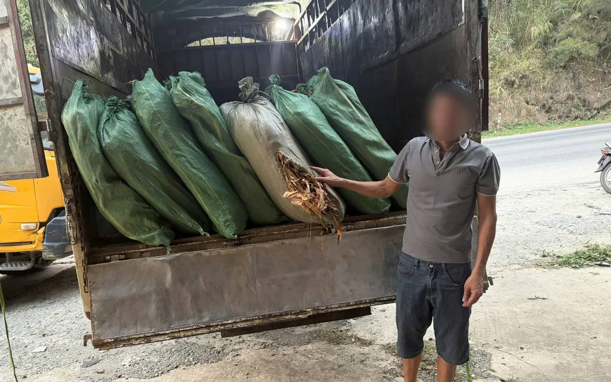 Chủ xe P.M.T cùng tang vật nguyên liệu thuốc lá không rõ nguồn gốc bị lực lượng Công an phát hiện, thu giữ.