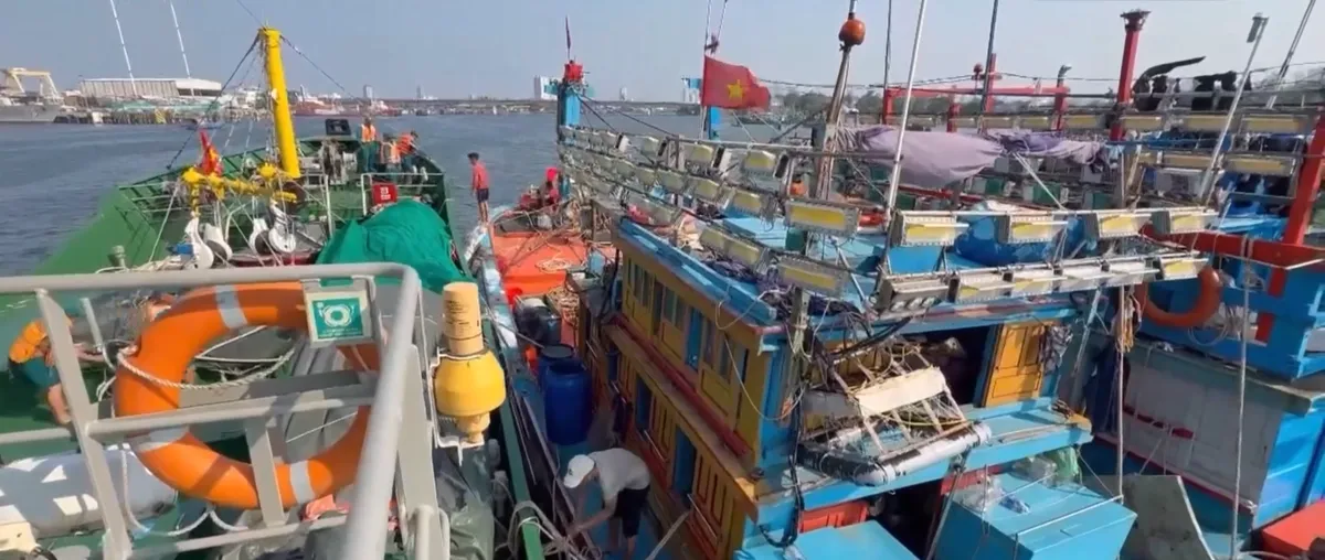 Hải đội Dân quân trật tự Đà Nẵng kịp thời cứu hộ tàu cá ngư dân gặp nạn- Ảnh 2. Hải đội Dân quân trật tự Đà Nẵng kịp thời cứu hộ tàu cá ngư dân gặp nạn- Ảnh 2.