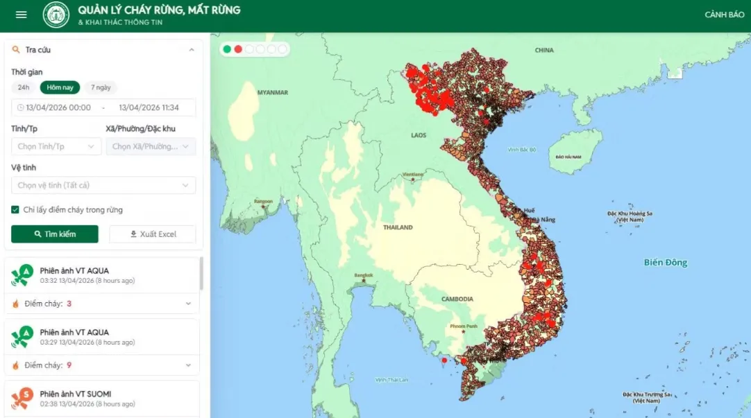 Cảnh báo nguy cơ cháy rừng cấp cực kỳ nguy hiểm tại nhiều địa phương - Ảnh 1.