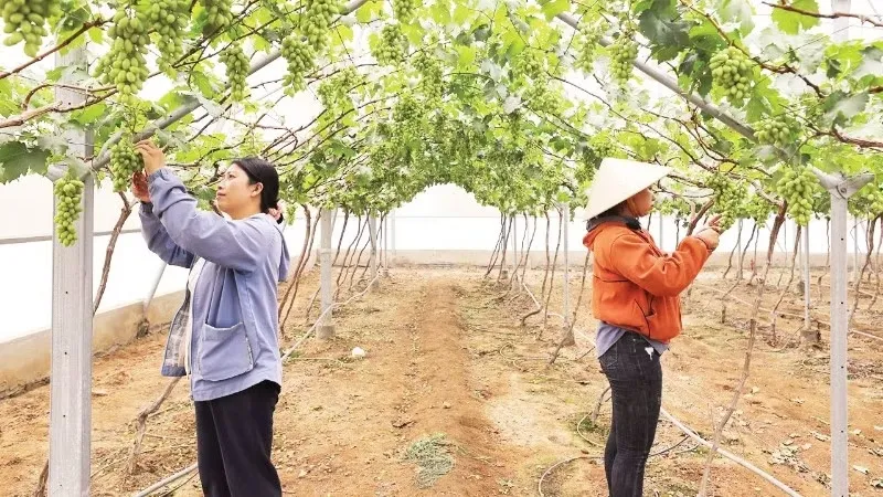 Hành trình của sự chuyển mình- Ảnh 1. Hành trình của sự chuyển mình- Ảnh 1.