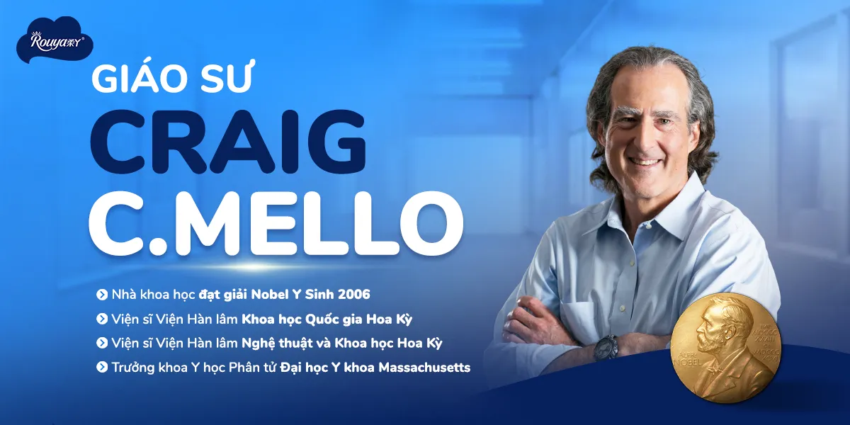 Thương hiệu t&atilde; bỉm khoa học - Rouya ch&iacute;nh thức c&oacute; mặt tại thị trường Việt Nam- Ảnh 2.