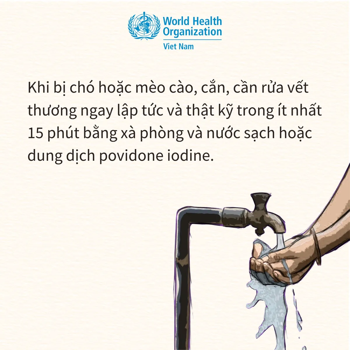 Infographic: Bệnh dại v&agrave; c&aacute;c biện ph&aacute;p ph&ograve;ng bệnh- Ảnh 2.