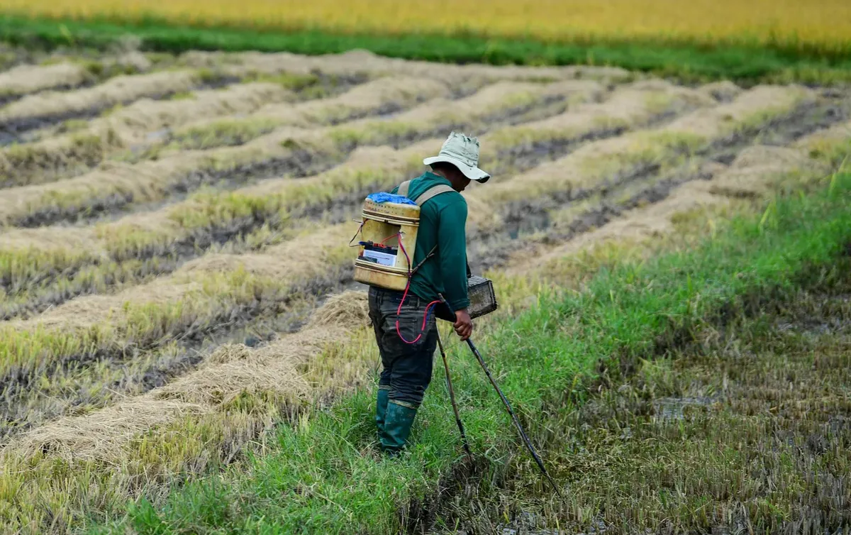 Nông nghiệp Việt trong kỷ nguyên xanh: Cơ hội lớn từ hạt gạo nhỏ- Ảnh 2. Nông nghiệp Việt trong kỷ nguyên xanh: Cơ hội lớn từ hạt gạo nhỏ- Ảnh 2.
