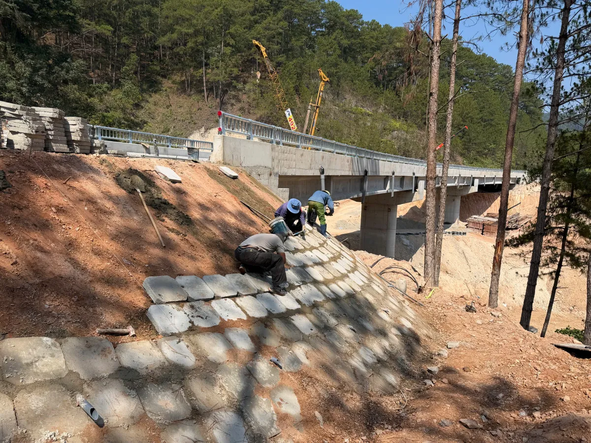 L&acirc;m Đồng gấp r&uacute;t khơi th&ocirc;ng điểm nghẽn giao th&ocirc;ng đ&egrave;o Mimosa - Ảnh 3.