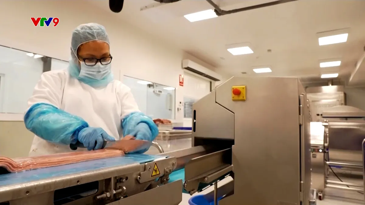 Sequence 55.00_41_11_24.Still035.jpg