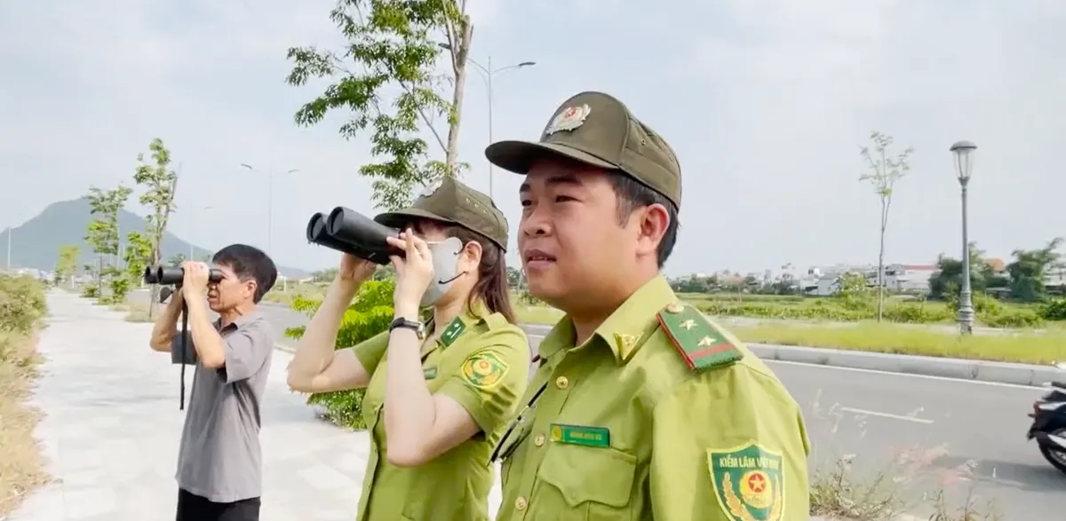 Đ&agrave;n c&ograve; nhạn qu&yacute; hiếm xuất hiện ở Đắk Lắk- Ảnh 3.