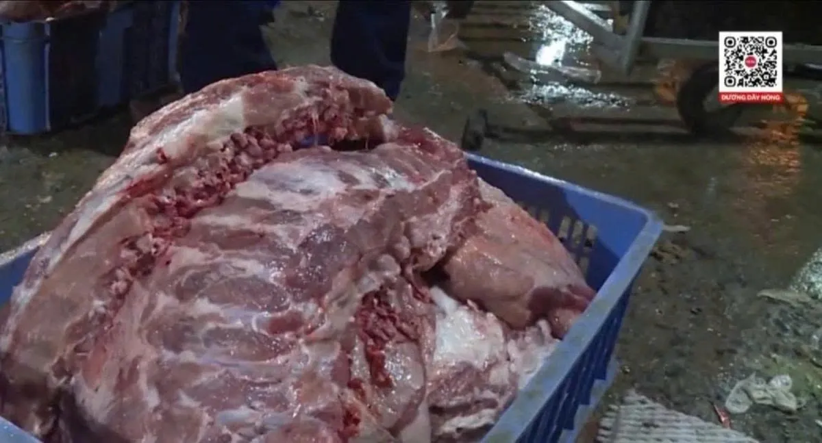 C&aacute;ch nhận biết thịt nhiễm tả lợn ch&acirc;u Phi: Người ti&ecirc;u d&ugrave;ng cần đặc biệt lưu &yacute;- Ảnh 1.