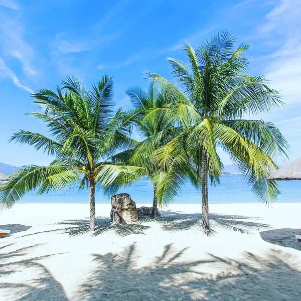 H&ograve;n Tre: Điểm đến biển đảo khiến du kh&aacute;ch vấn vương- Ảnh 1.