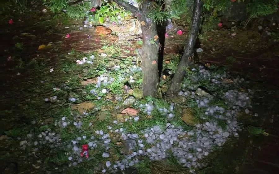 Mưa đá gây thiệt hại nặng nề tới cây trồng của người dân.  