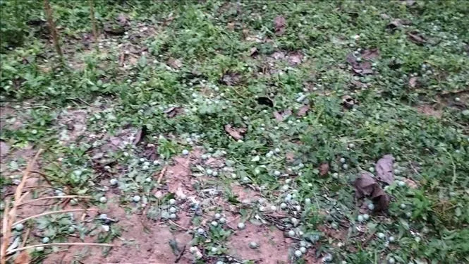 Mưa đ&aacute; khiến 4 người bị thương tại x&atilde; Bắc H&agrave;, L&agrave;o Cai - Ảnh 1.