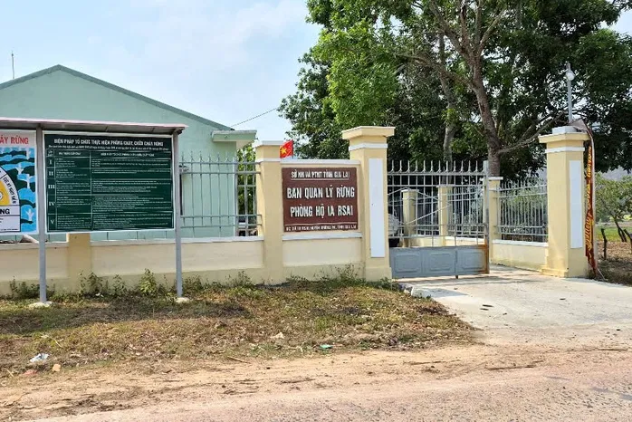 Bắt giam Gi&aacute;m đốc Ban Quản l&yacute; rừng ph&ograve;ng hộ ở Gia Lai- Ảnh 1.