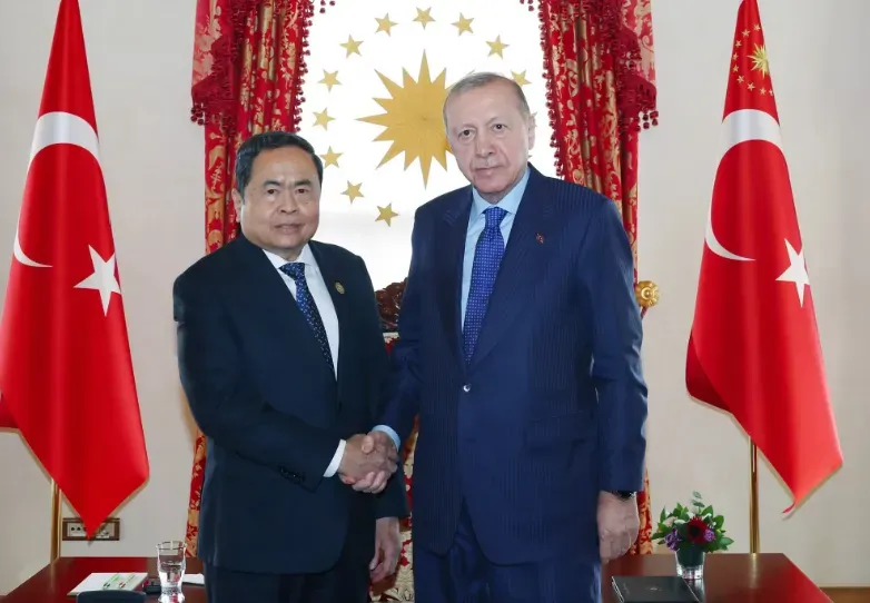 Tổng thống Recep Tayyip Erdogan: Thổ Nhĩ Kỳ mong muốn n&acirc;ng tầm quan hệ với Việt Nam- Ảnh 1.