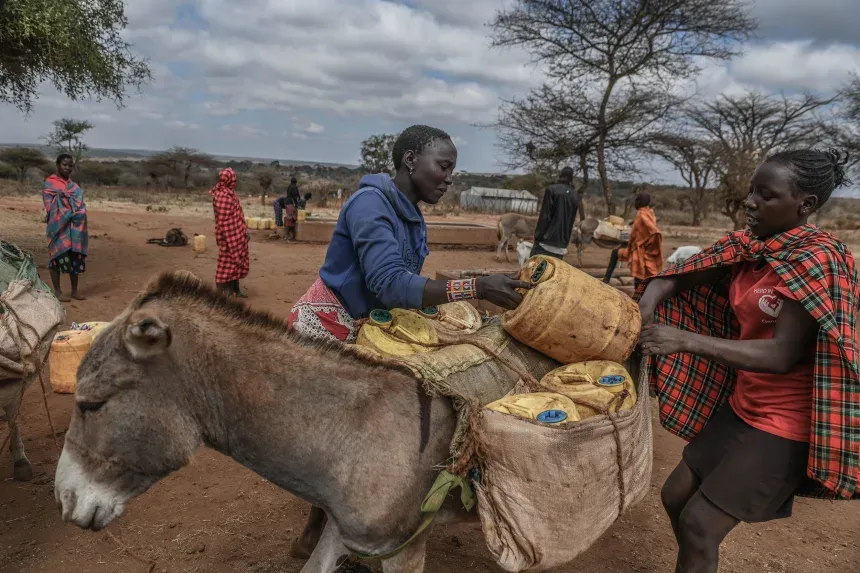 Hệ thống hải lưu Đại T&acirc;y Dương suy yếu nhanh hơn dự b&aacute;o- Ảnh 1.