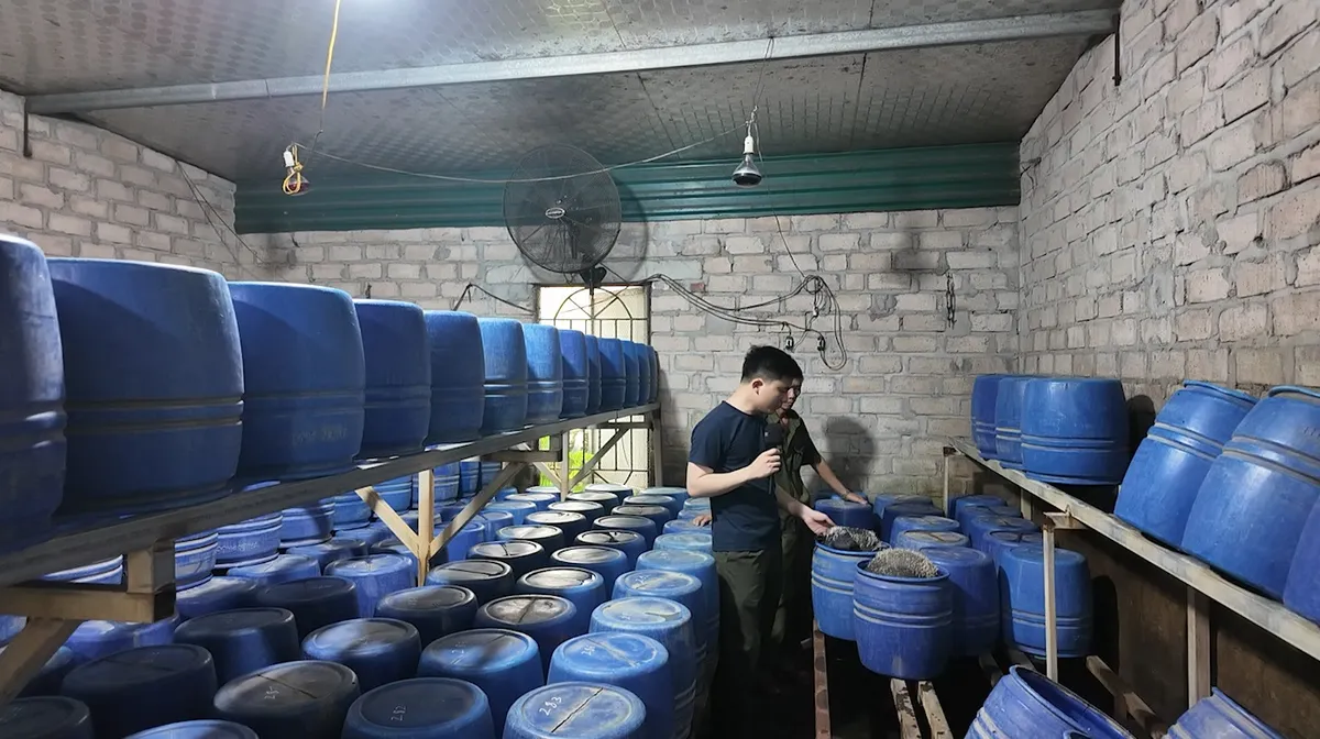 Đột k&iacute;ch xưởng sản xuất gi&aacute; đỗ sử dụng chất cấm tại Quảng Ninh, thu giữ 4 tấn h&agrave;ng - Ảnh 2.