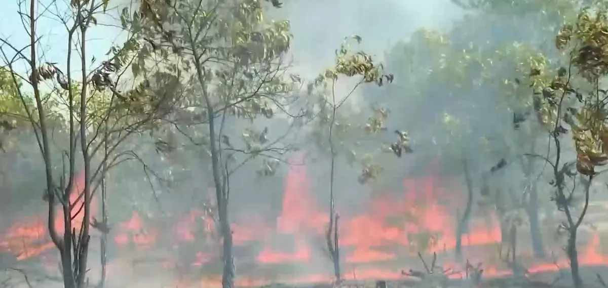 Đ&agrave; Nẵng: Tăng cường c&aacute;c biện ph&aacute;p cấp b&aacute;ch ph&ograve;ng ch&aacute;y, chữa ch&aacute;y rừng ph&ograve;ng hộ ven biển- Ảnh 1.