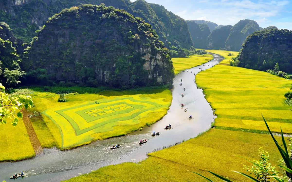 Lễ hội sắc vàng Tam Cốc dự kiến diễn ra cuối tháng 5, tại khu du lịch Tam Cốc - Bích Động.