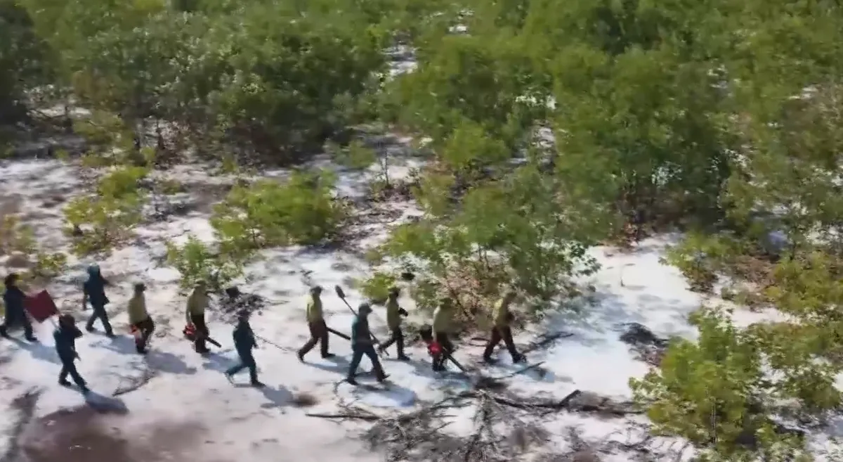 Đ&agrave; Nẵng: Tăng cường c&aacute;c biện ph&aacute;p cấp b&aacute;ch ph&ograve;ng ch&aacute;y, chữa ch&aacute;y rừng ph&ograve;ng hộ ven biển- Ảnh 3.