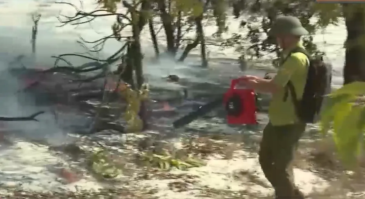 Đ&agrave; Nẵng: Tăng cường c&aacute;c biện ph&aacute;p cấp b&aacute;ch ph&ograve;ng ch&aacute;y, chữa ch&aacute;y rừng ph&ograve;ng hộ ven biển- Ảnh 2.