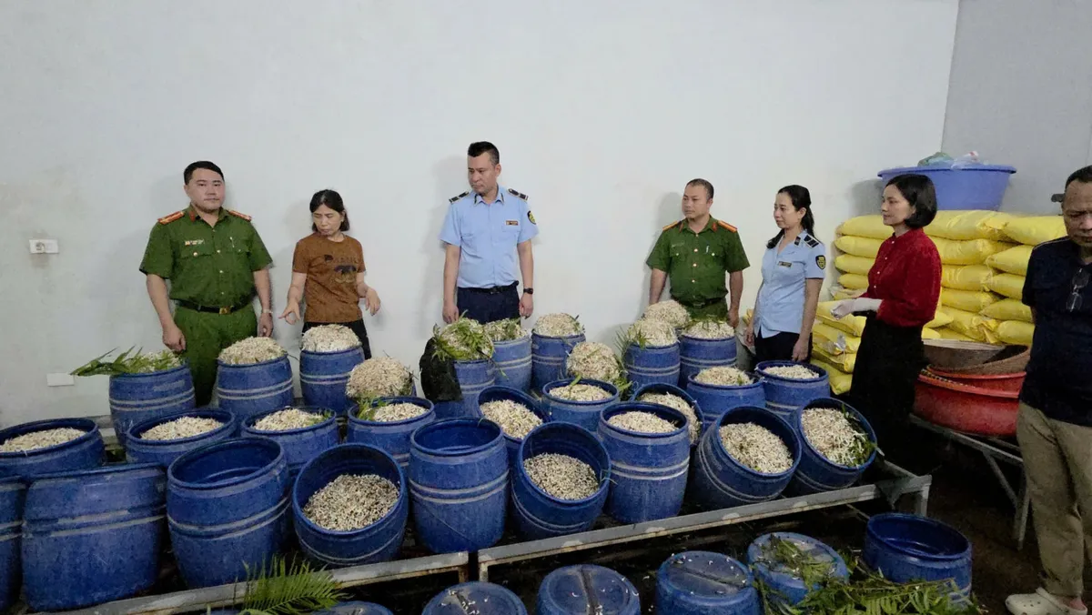 Hai phụ nữ bị khởi tố v&igrave; sản xuất gần 1,5 tấn gi&aacute; đỗ &ldquo;ngậm&rdquo; chất cấm- Ảnh 1.