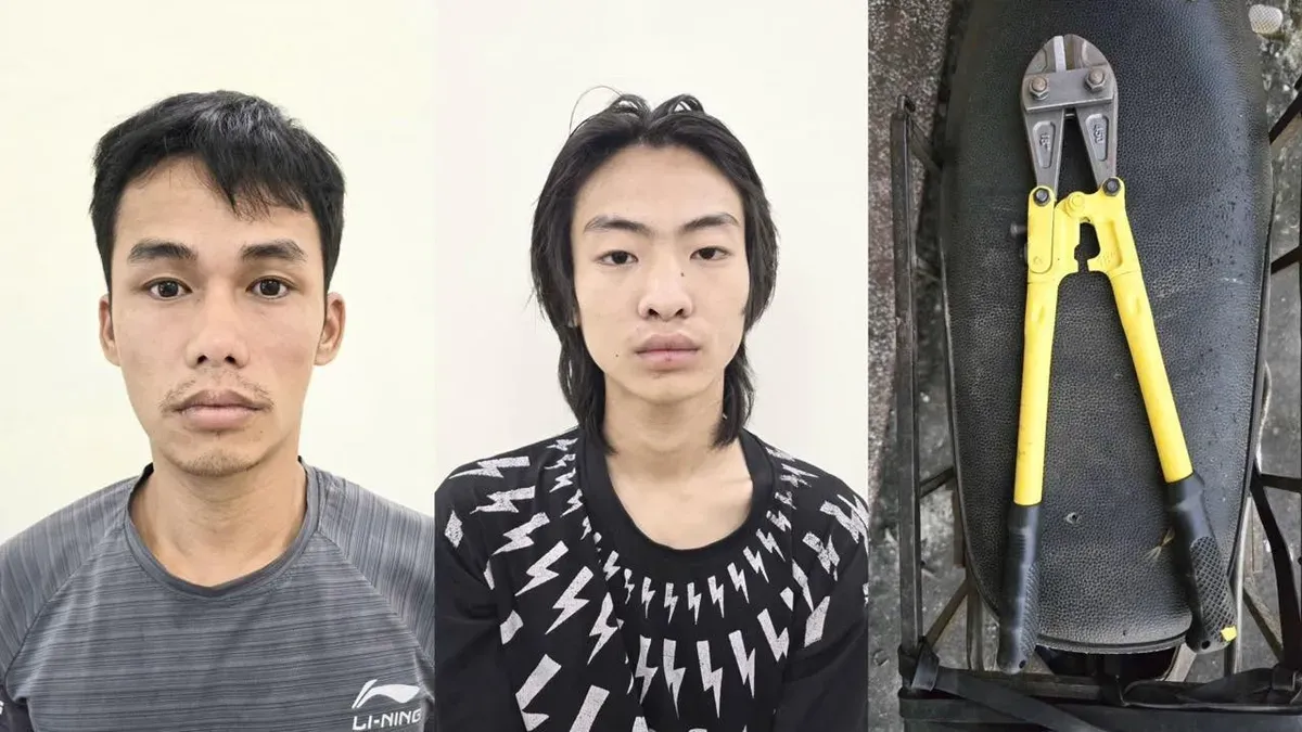 Bắt giữ 2 đối tượng g&acirc;y ra 17 vụ trộm d&acirc;y điện tại trạm biến &aacute;p ở Tuy&ecirc;n Quang- Ảnh 1.