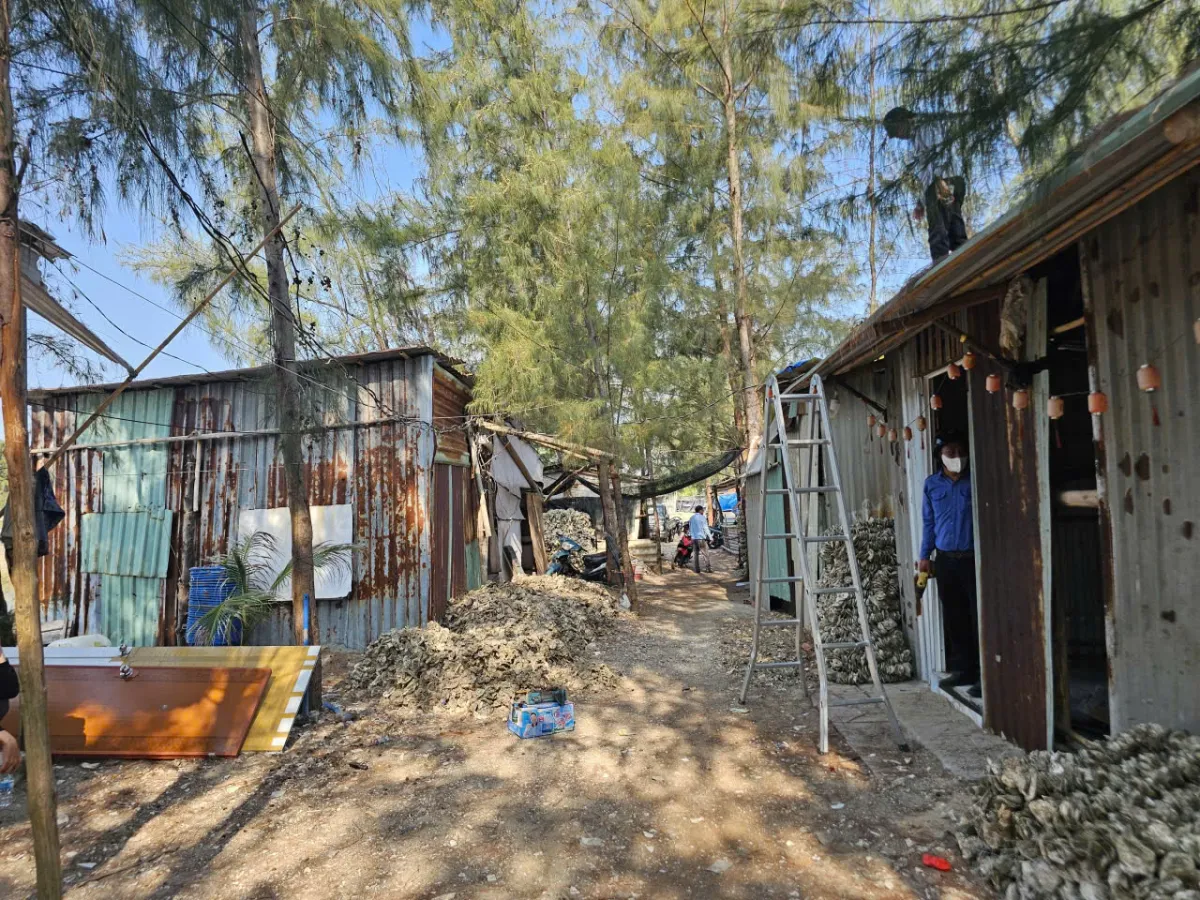 TP Hồ Ch&iacute; Minh th&aacute;o dỡ loạt nh&agrave; tạm x&acirc;y tr&aacute;i ph&eacute;p tr&ecirc;n đất c&ocirc;ng hơn 5,3 ha- Ảnh 1.