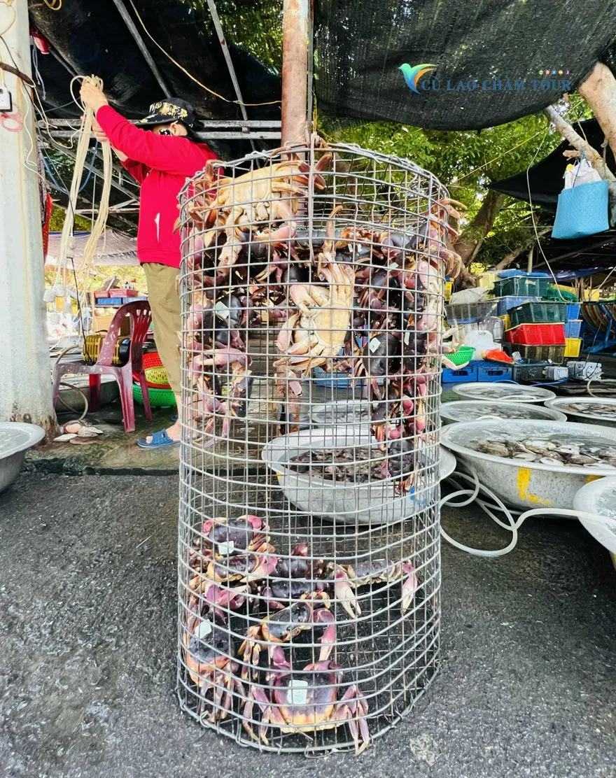 N&acirc;ng cao gi&aacute; trị n&ocirc;ng sản cua đ&aacute; C&ugrave; Lao Ch&agrave;m- Ảnh 5.