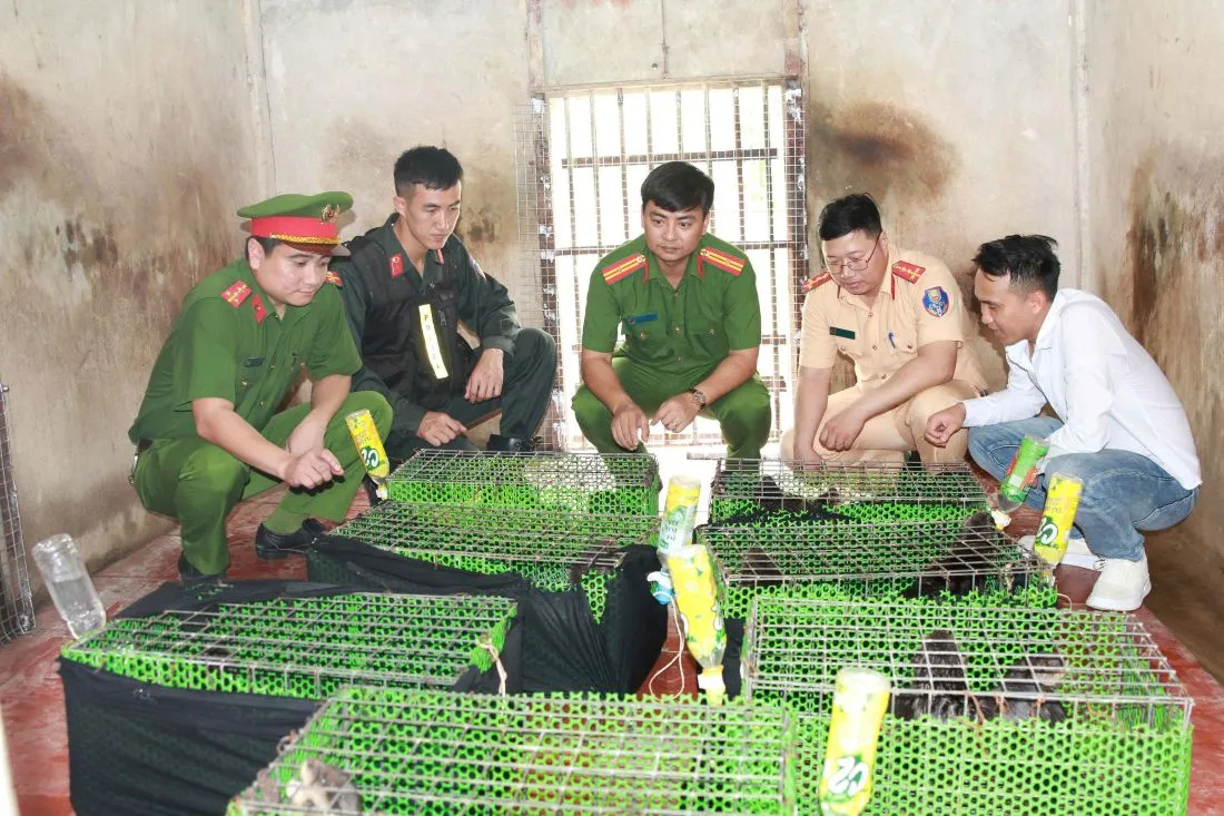 Triệt x&oacute;a đường d&acirc;y mua b&aacute;n, vận chuyển động vật nguy cấp, qu&yacute; hiếm  - Ảnh 1.