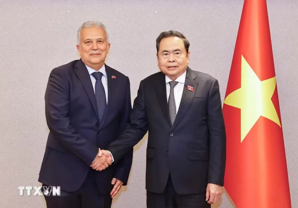 Ph&aacute;t huy vai tr&ograve; cầu nối th&uacute;c đẩy quan hệ Việt Nam - Thổ Nhĩ Kỳ - Ảnh 1.