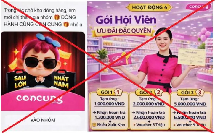 Sập bẫy nh&oacute;m &ldquo;Đồng h&agrave;nh c&ugrave;ng Con Cưng&rdquo;, người phụ nữ ở H&agrave; Nội mất gần 1 tỷ đồng- Ảnh 1.