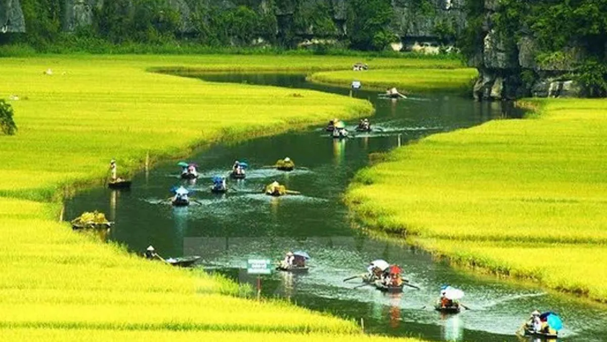 Đ&aacute;nh thức d&ograve;ng s&ocirc;ng di sản: Khi Tam Cốc t&aacute;i hiện kh&aacute;t vọng "L&yacute; triều khởi sắc"- Ảnh 2.