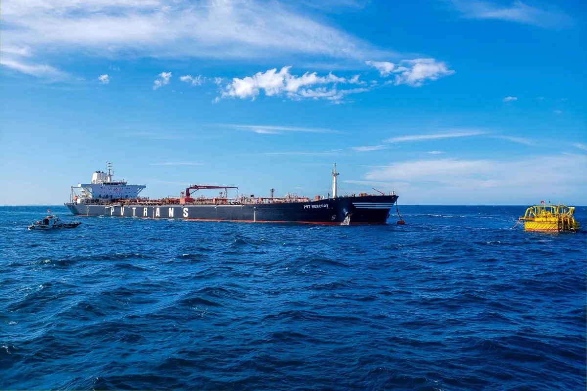 D&ograve;ng chảy năng lượng đổi chiều: Kinh tế nội địa hấp thụ mạnh nhi&ecirc;n liệu- Ảnh 1.