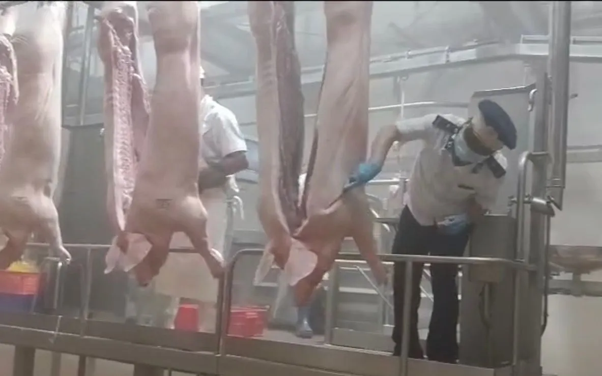 Lực lượng chức năng kiểm tra cơ sở giết mổ lợn tập trung.