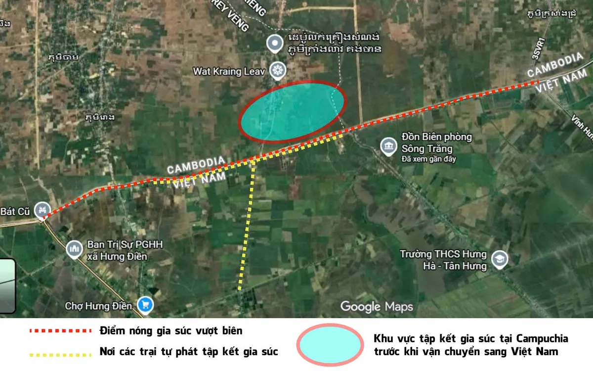 Nhức nhối nạn b&ograve; 'đi đ&ecirc;m' qua bi&ecirc;n giới T&acirc;y Ninh- Ảnh 1.