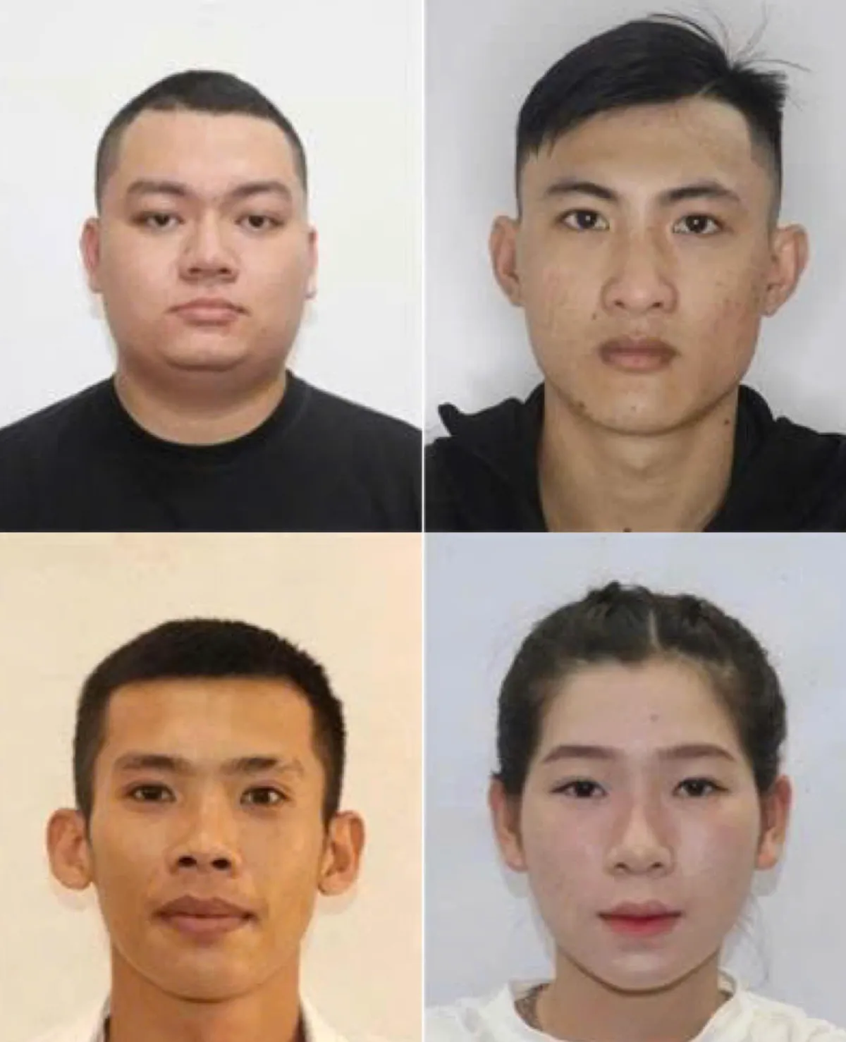 Khởi tố 346 đối tượng sang Campuchia lập “kịch bản” đầu tư, yêu đương để chiếm đoạt tài sản - Ảnh 2.