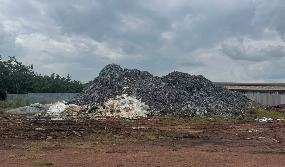 Khởi tố 2 đối tượng đổ hơn 567 tấn da b&ograve; phế thải ra m&ocirc;i trường- Ảnh 2.