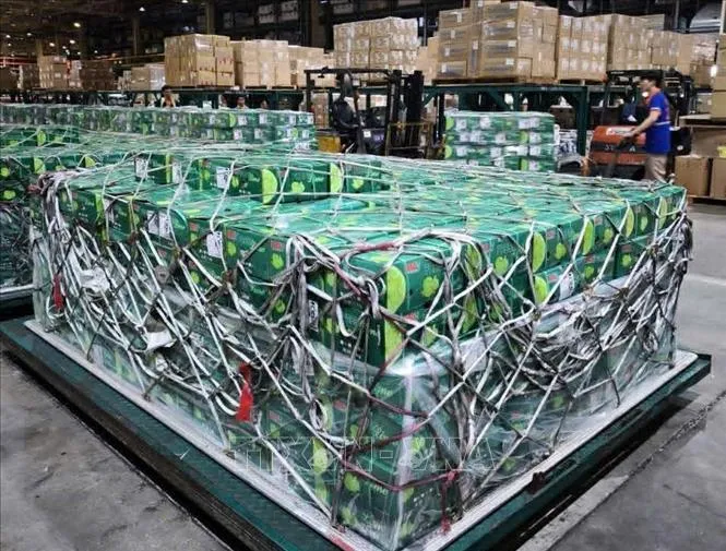 Gần 100 tấn n&ocirc;ng sản Việt chinh phục thị trường UAE- Ảnh 1.