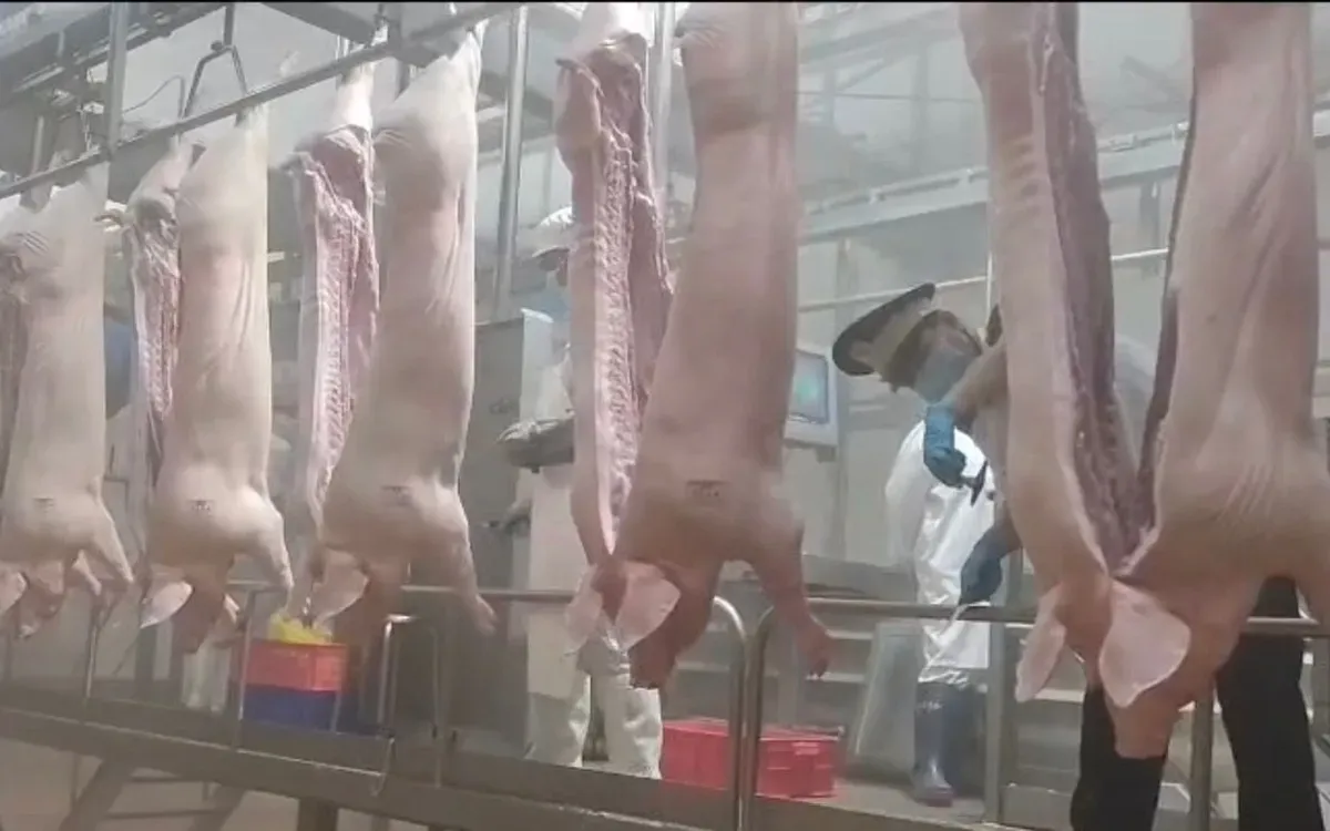 NInh B&igrave;nh chấn chỉnh c&ocirc;ng t&aacute;c kiểm dịch, kiểm so&aacute;t giết mổ động vật - Ảnh 2.