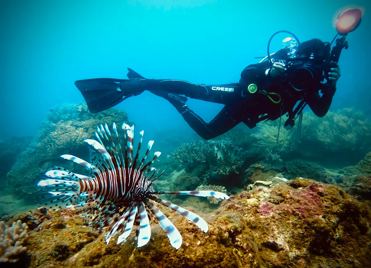 Đ&agrave; Nẵng s&ocirc;i động chuỗi lễ hội, sự kiện dịp nghỉ lễ 30/4 - 1/5- Ảnh 1.