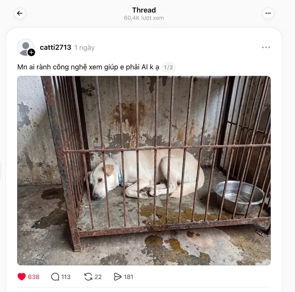 Chi&ecirc;u lừa mới: D&ugrave;ng ảnh AI th&uacute; cưng để đ&ograve;i tiền chuộc- Ảnh 1.