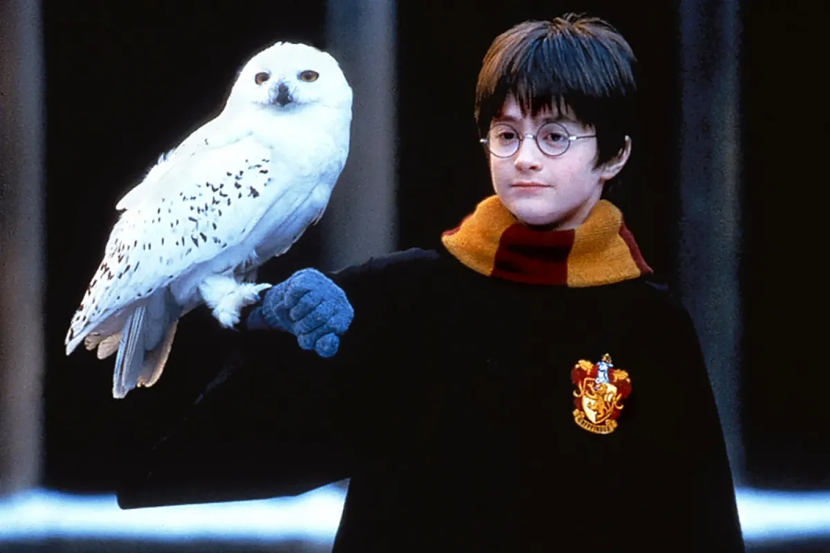 Daniel Radcliff xếp hạng c&aacute;c tập phim Harry Potter, tiết lộ điều bất ngờ về phi&ecirc;n bản truyền h&igrave;nh - Ảnh 1.