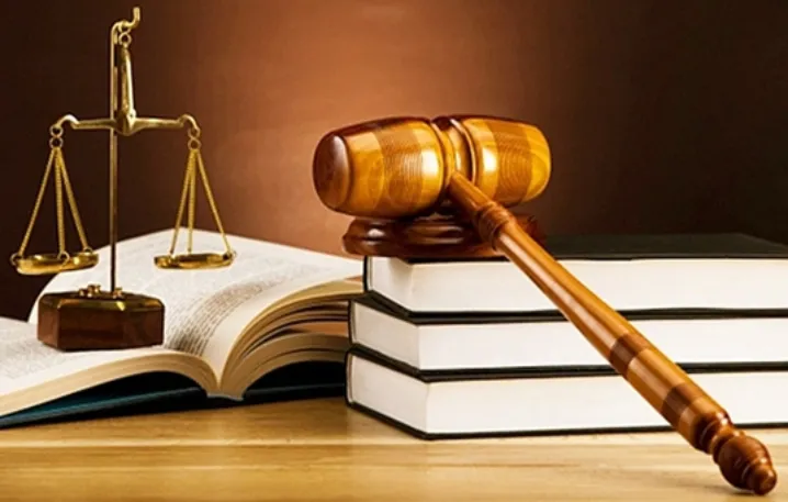 Thủ tướng chỉ đạo tổng r&agrave; so&aacute;t hệ thống văn bản quy phạm ph&aacute;p luật - Ảnh 1.