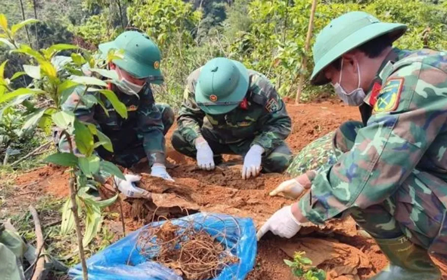 Quy tập hài cốt liệt sĩ. Ảnh: TTXVN 