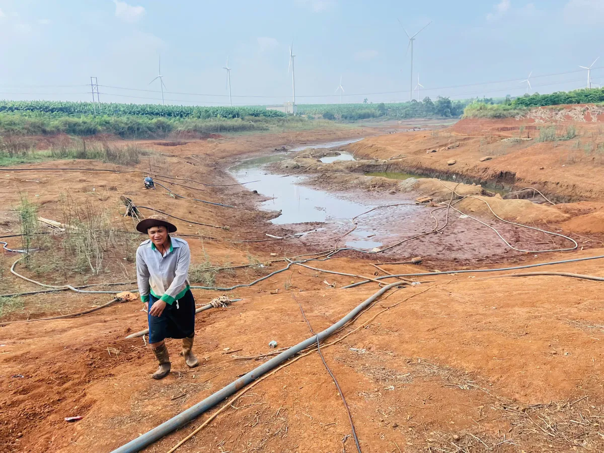 Nắng n&oacute;ng k&eacute;o d&agrave;i, người d&acirc;n Gia Lai thiếu nước cứu c&acirc;y trồng - Ảnh 1.