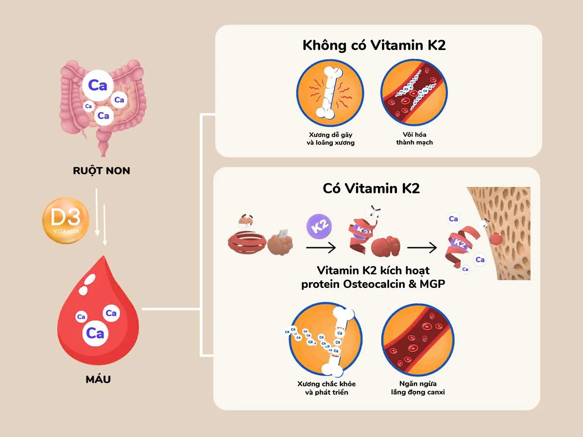 WHO cảnh b&aacute;o: Trẻ thấp c&ograve;i k&eacute;o d&agrave;i sau 2 tuổi c&oacute; nguy cơ chậm ph&aacute;t triển tr&iacute; n&atilde;o, miễn dịch k&eacute;m hay ốm vặt- Ảnh 2.