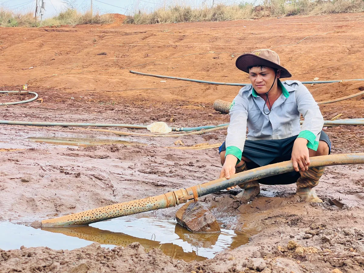 Nắng n&oacute;ng k&eacute;o d&agrave;i, người d&acirc;n Gia Lai thiếu nước cứu c&acirc;y trồng - Ảnh 3.