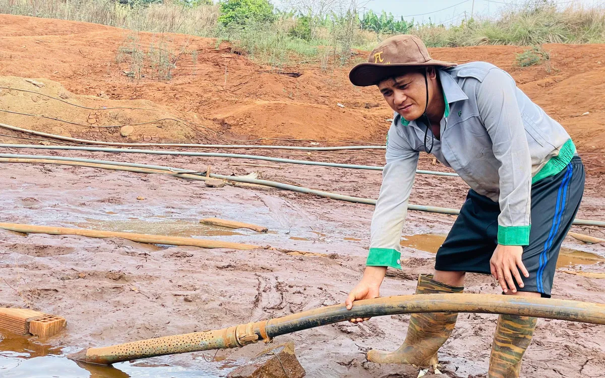 Nắng nóng kéo dài khiến người dân ở Gia Lai thiếu nước tưới vườn cà phê.