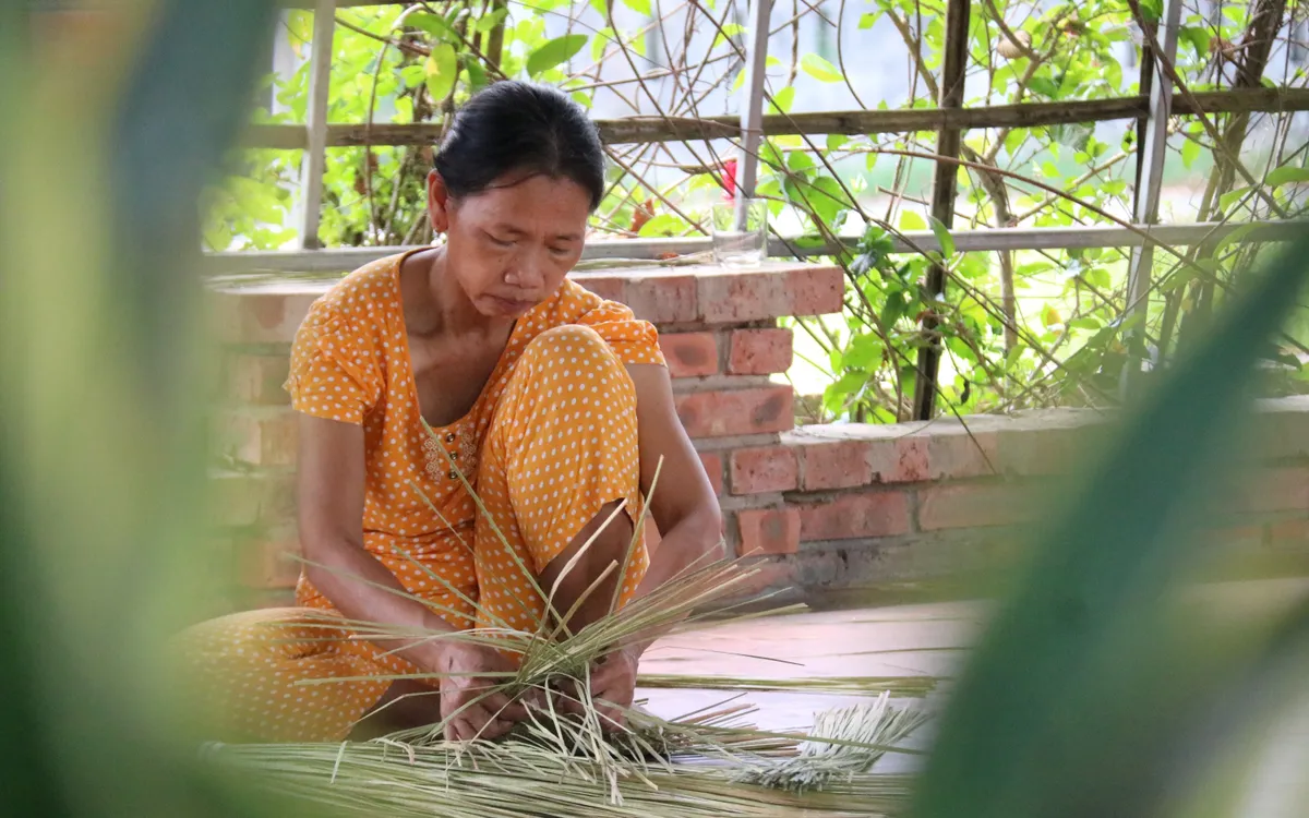 Nằm bên dòng Ô Lâu, làng Phò Trạch (phường Phong Dinh, TP Huế) cách trung tâm thành phố Huế khoảng 40km về phía Bắc từ lâu đã nổi tiếng là một làng cổ ven phá Tam Giang. Không gian đầm phá ấy không chỉ định hình nếp sống mà còn nuôi dưỡng một nghề truyền thống: làm đệm bàng.