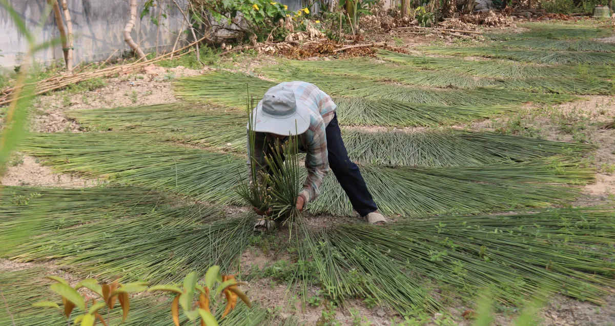 Giữ nghề đệm b&agrave;ng Ph&ograve; Trạch- Ảnh 11.