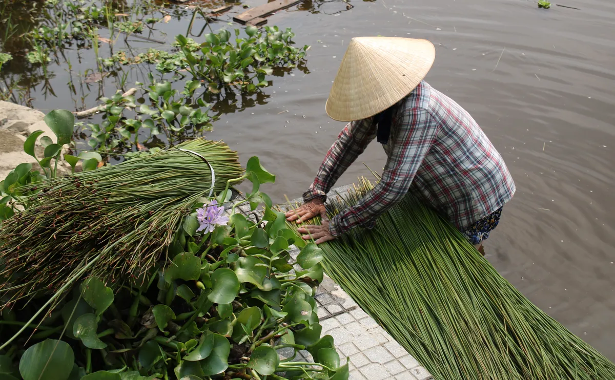 Giữ nghề đệm b&agrave;ng Ph&ograve; Trạch- Ảnh 3.