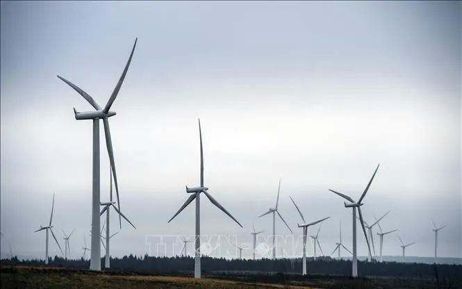 Nhà máy điện gió ở Eaglesham Moor, Scotland. Ảnh: AFP/TTXVN